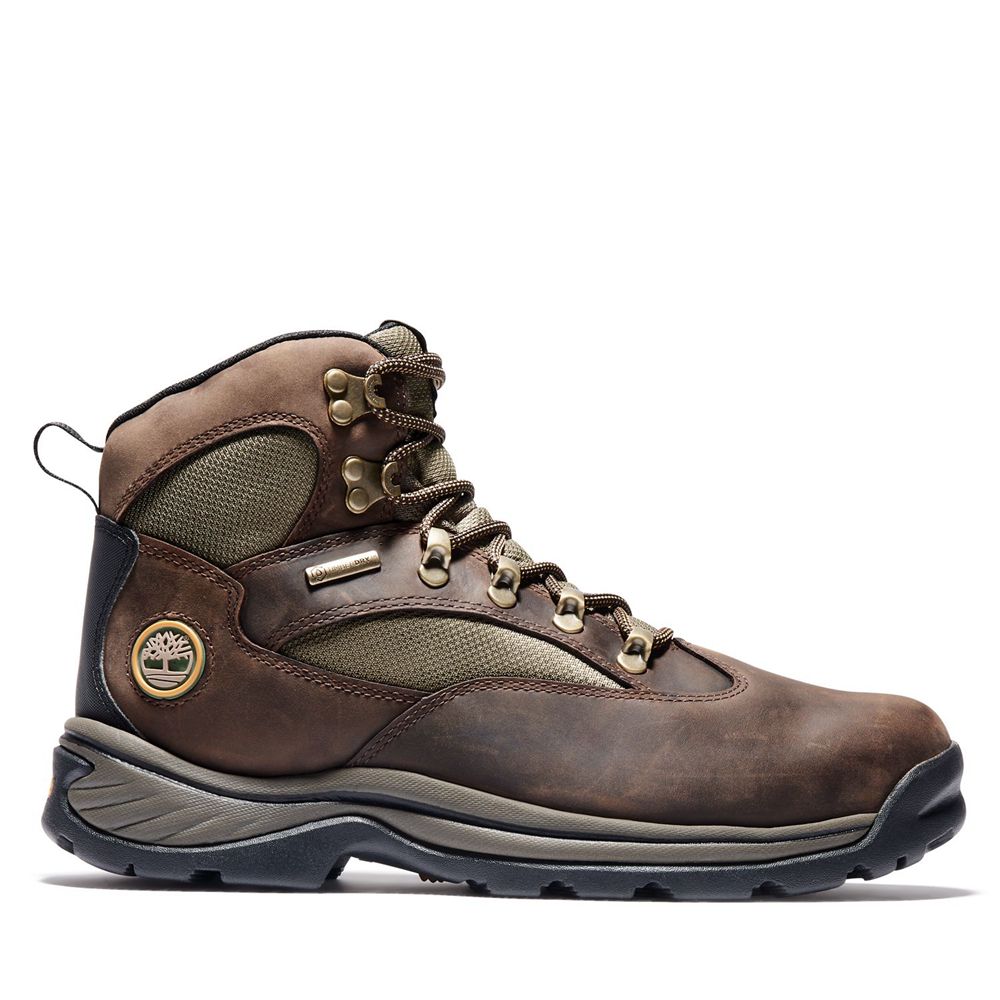 Botas de Caminhada Masculino - Timberland Chocorua Trail Mid Impermeavel - LTAUC4201 - Marrom